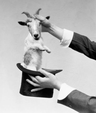 image of a rabbit with a goat's head being pulled out of a top hat by a magician