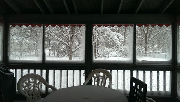 image of my back porch; the screens are caked with snow, and there is about a foot of snow on the ground in the backyard