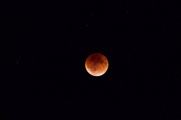 image of the moon looking reddish orage in a dark night sky