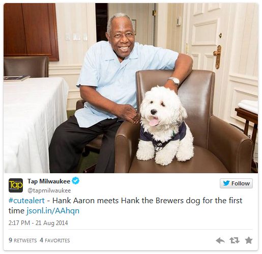 screen cap of a tweet authored by the Tap Milwaukee reading: 'Cute Alert: Hank Aaron meets Hank the Brewers dog for the first time' and accompanied by a picture of Hank Aaron, an older black man, with Hank the Dog, a small fluffy white dog