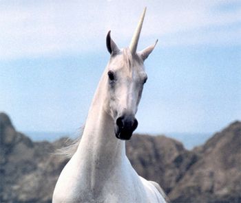 image of a white unicorn standing on a beach