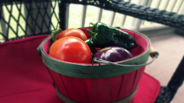 image of tomatoes, eggplants, and peppers in a red basket, sitting on my back porch