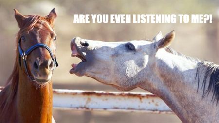 image of one horse whinnying at another horse's hear, to which I've added text reading: ARE YOU EVEN LISTENING TO ME?!