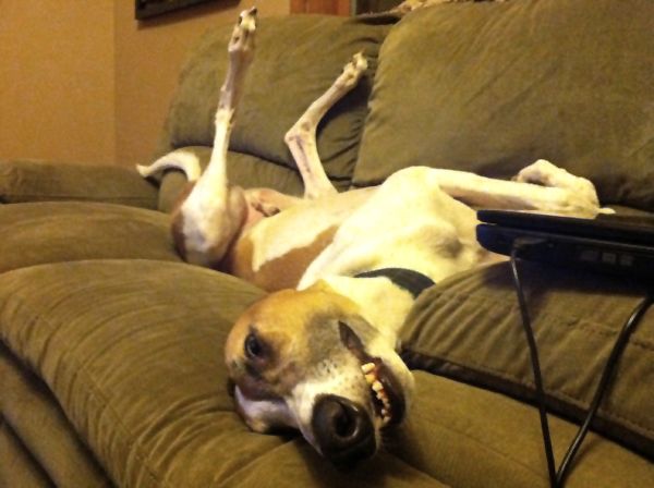 Dudley lies on his back on the couch, grinning
