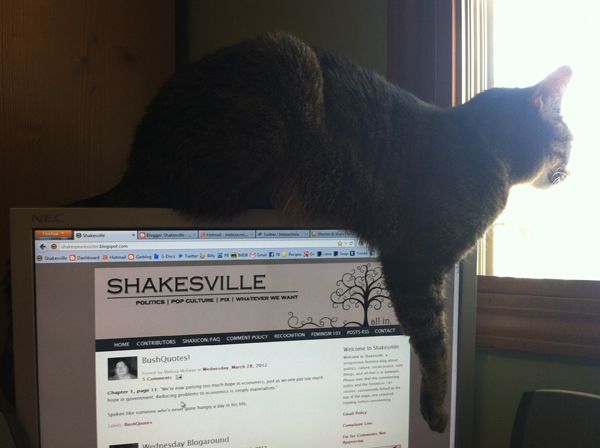 image of Sophie the Torbie Cat looking out the window from atop my monitor