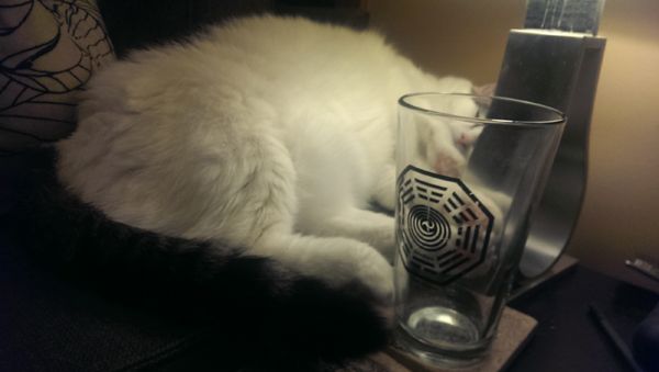 image of Olivia the White Farm Cat, asleep on the arm of the couch beneath a lamp, with her pink paw pads showing through an empty glass with Lost's DHARMA logo