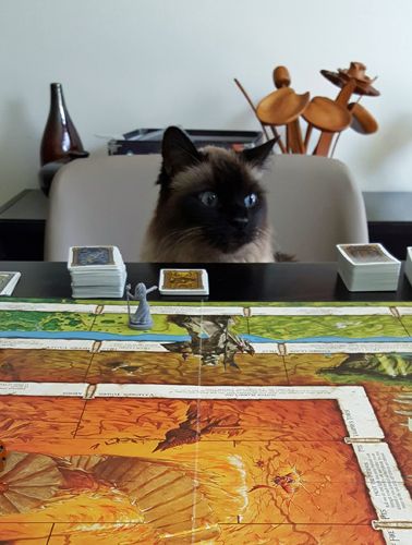 image of Matilda the Fuzzy Sealpoint Cat sitting on a dining room chair with her head poking out over the table, on which is laid out a game of Talisman