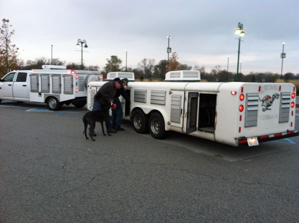 image of the trailer in which the greyhounds arrived, with the driver standing with a black female greyhound