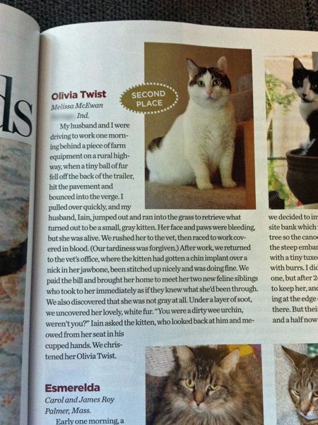 pic of magazine page with image of Livsy sitting on the stairs and my description of her rescue