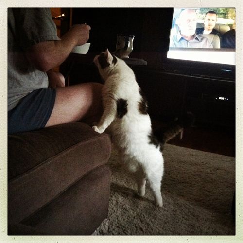 image of Olivia standing next to the chaise on her tiptoes, trying to peer into Iain's bowl