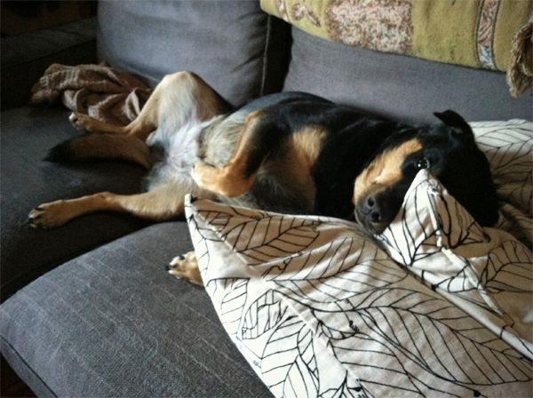 Zelly lying on her back/side on the couch, showing her cute belly, while resting her head on a pillow