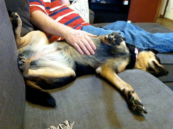 image of Zelda lying beside Iain on the couch fast asleep; his hand is on her upturned belly
