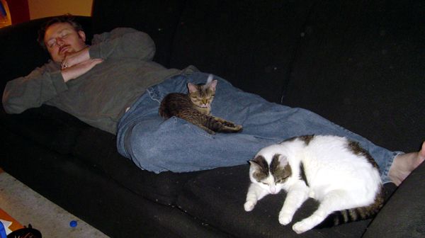 Iain and kittehs napping