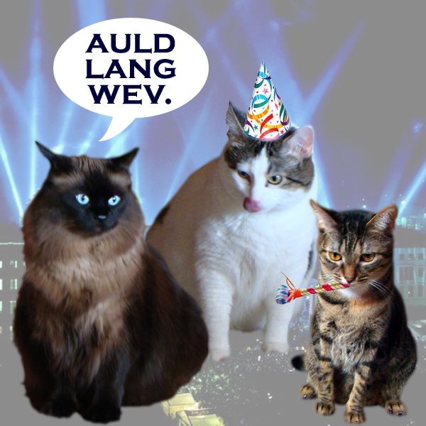 image of Matilda, Olivia, and Sophie; Sophie is blowing a noisemaker, Olivia is wearing a party hat and licking her nose, and Matilda is saying, 'Auld Lang Wev.'
