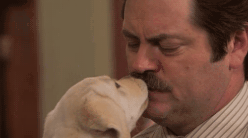 gif of Ron Swanson getting his mustache licked by a puppy