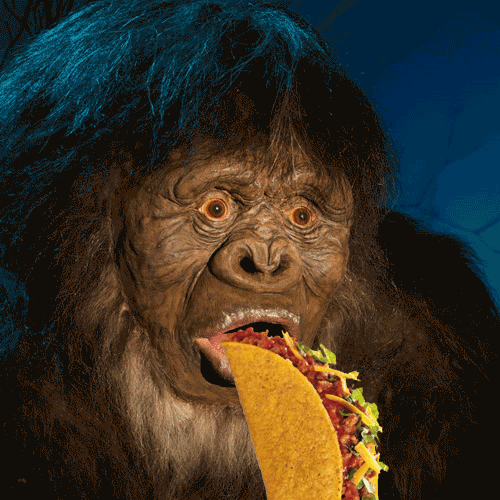badly photoshopped moving image of a sasquatch slowly eating a taco