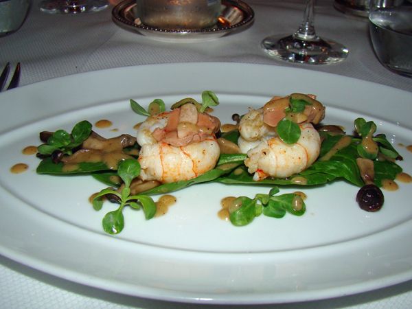 image of beautifully presented langoustines on a bed of greens