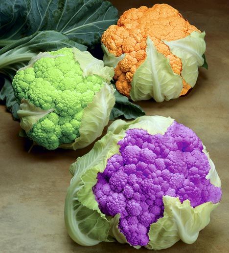 image of three heads of cauliflower--one orange, one green, and one purple