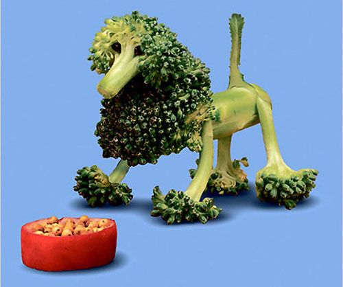 sculpture of a dog carved out of broccoli