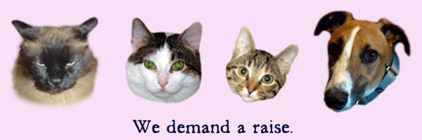 picture of all four furry residents of Shakes Manor saying 'We want a raise.'