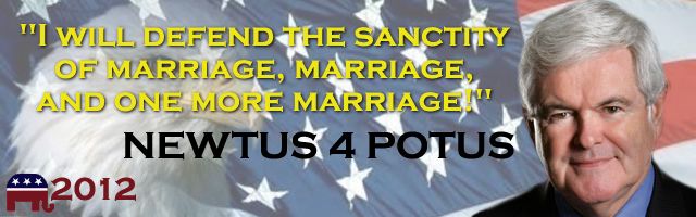 fake campaign poster for Newt Gingrich reading 'I will defend the sanctity of marriage, marriage, and one more marriage!