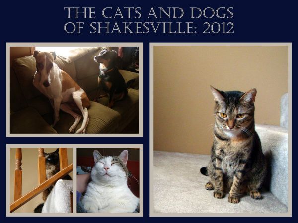 cover of 2012 calendar featuring the dogs and cats of Shakesville