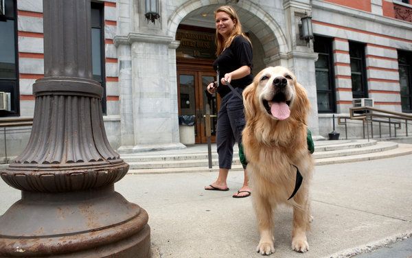 image of Rosie, outside the courthouse