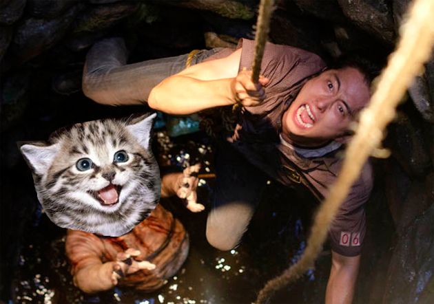 image of Glenn on a rope down a well, trying to get away from a zombie whose head has been replaced by Liss with a kitten's head