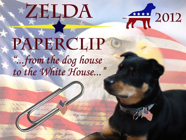 fake political poster for the presidential ticket of Zelda and Paperclip, featuring images of Zelda the Mutt and a paperclip, both wearing flag lapel pins, a dog party logo, and the slogan 'from the dog house to the White House,' all on a background of an American flag, eagle, and Constitutional text