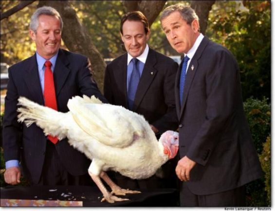image of then-President Bush making a face as a turkey appears to be trying to stick its face into his pants