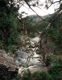 image of the Scottish Highlands