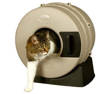 image of a round covered litter box with a cat stepping out of it