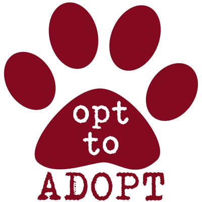 image of paw print with text reading 'opt to adopt'