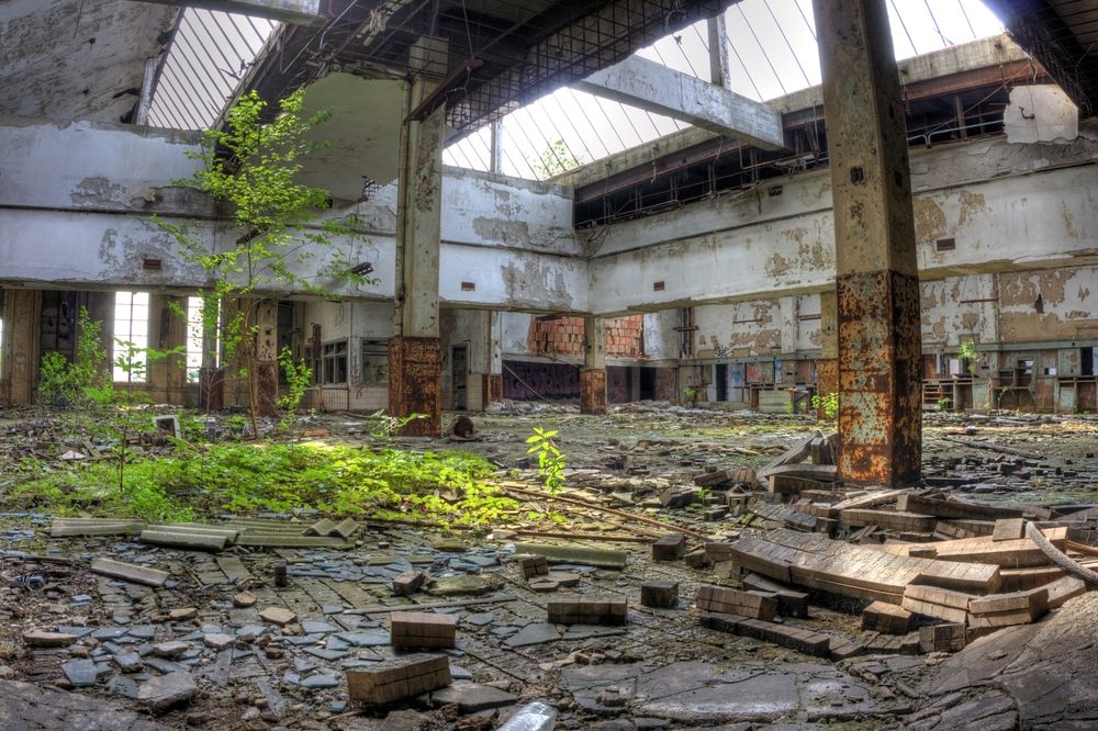 image of the interior of a long-abandoned post office, in which green flora is starting to grow