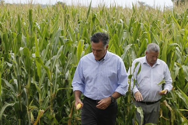 Mitt Romney and another dude walk in a cornfield; Romney looks quizzically at an ear of corn in his hand