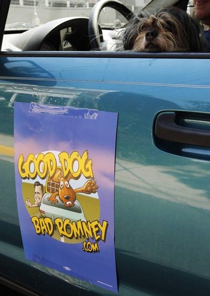 image of a shaggy little dog sticking its head out a stationary car's window; on the side of the door is a decal reading 'GoodDogBadRomney.com'