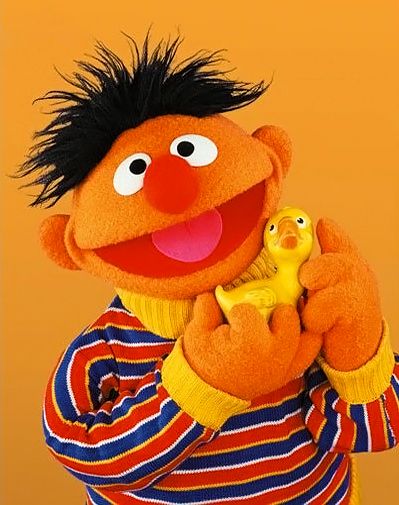 image of the muppet Ernie from Sesame Street, holding a rubber ducky