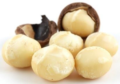 image of macadamia nuts
