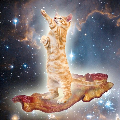 image of an orange tabby cat in outer space, flying on a piece of bacon and reaching for the stars