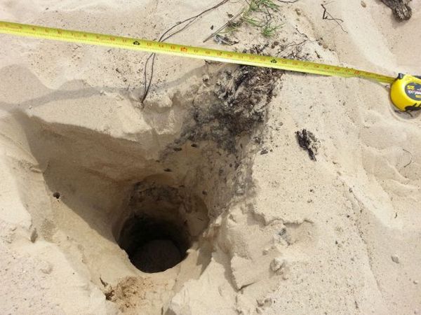 image of a hole in a large sand dune