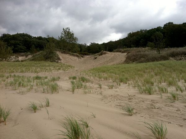 image of the dunes, facing away from the water, below stormy skies