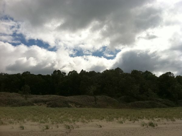 image of the dunes, topped by a dark line of trees, below brilliant white clouds with bright blue sky peeking through