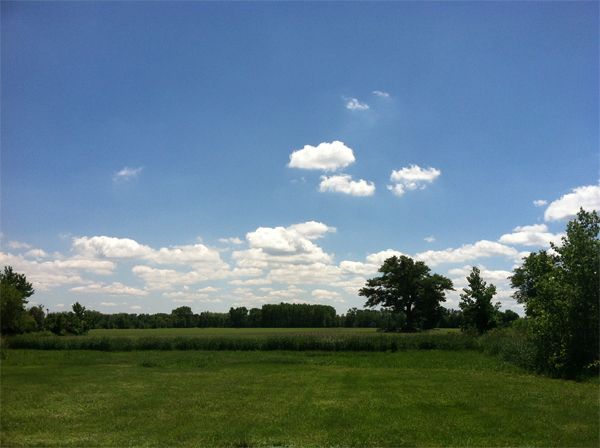 image of a green field surrounded by green trees, below a bright blue sky dotted with fluffy white clouds