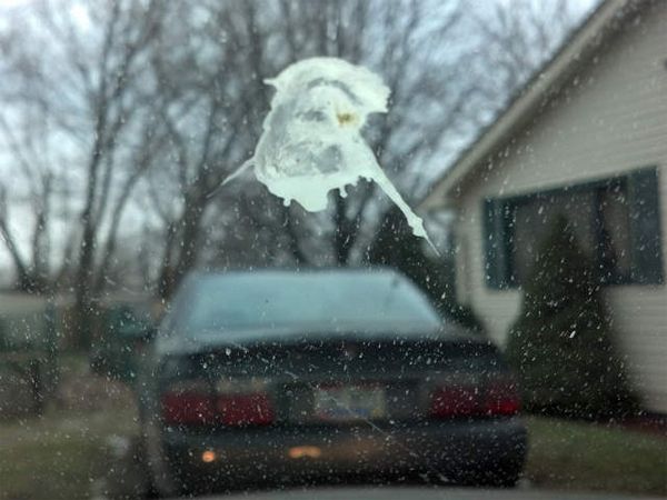 image of bird poop splatter on a car windshield, taken from inside the car, which looks vaguely like a face