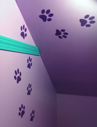 image of teal trim with violet cat prints running up the wall and onto the ceiling