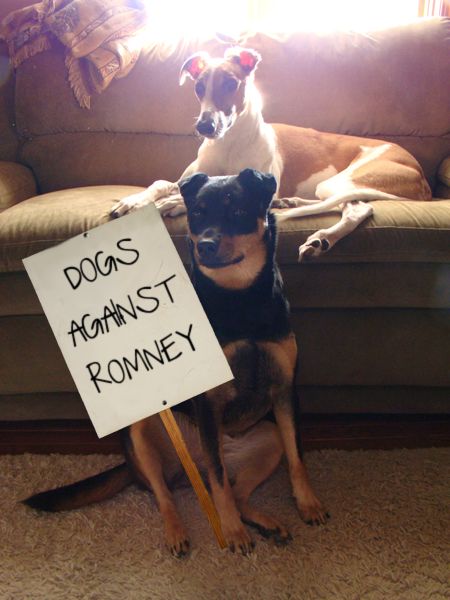 image of Dudley sitting on the couch and Zelda sitting on the floor in front of him with her paw appearing to hold a photoshopped sign reading 'Dogs Against Romney' between them