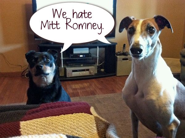 image of Dudley and Zelda sitting politely, to which I have photoshopped a dialogue bubble reading 'We hate Mitt Romney.'