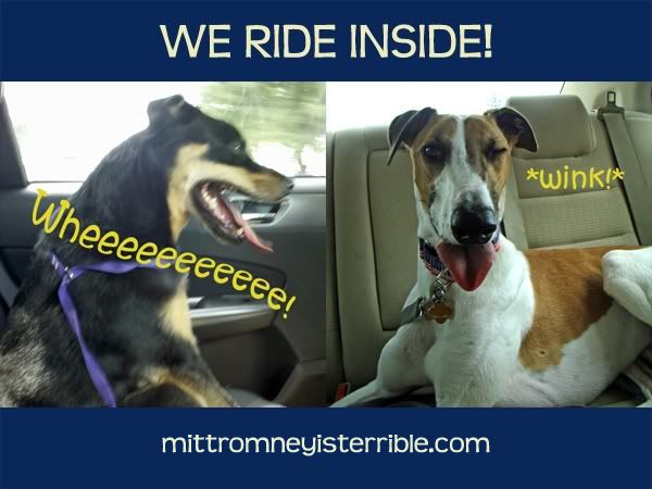 images of Dudley and Zelda riding in the car, with text saying: 'We Ride Inside.'