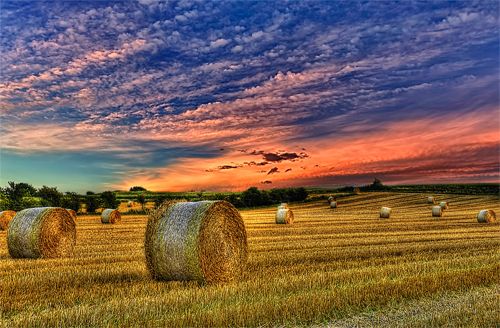 image of farmland dotted with bales of hay, under a spectacularly colorful sky