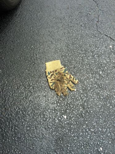 image of grody glove lying in parking lot